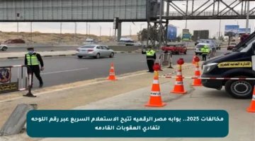 مخالفات 2025.. بوابة مصر الرقمية تتيح الاستعلام السريع عبر رقم اللوحة لتفادي العقوبات القادمة